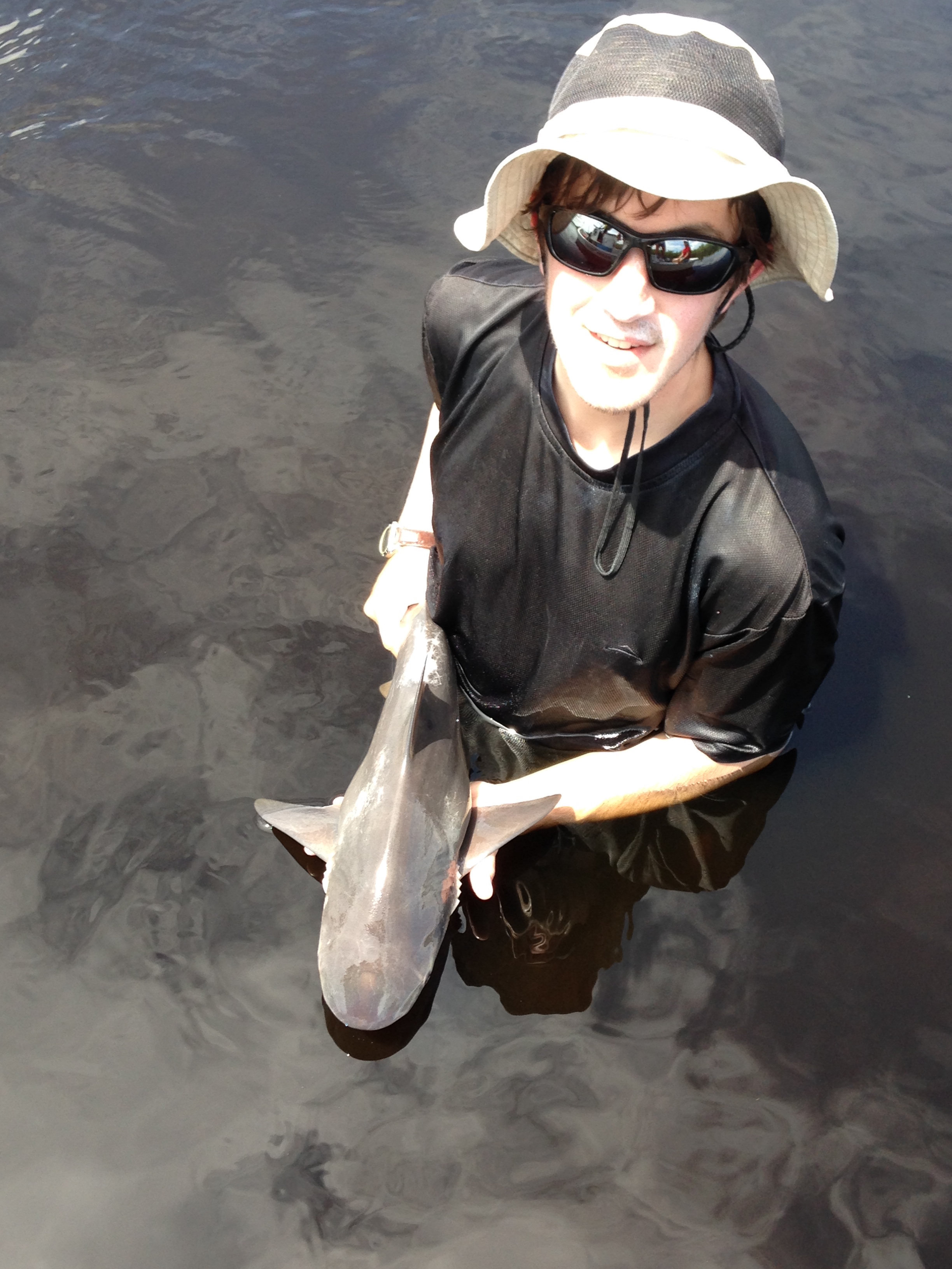 releasing_bull_shark(2)